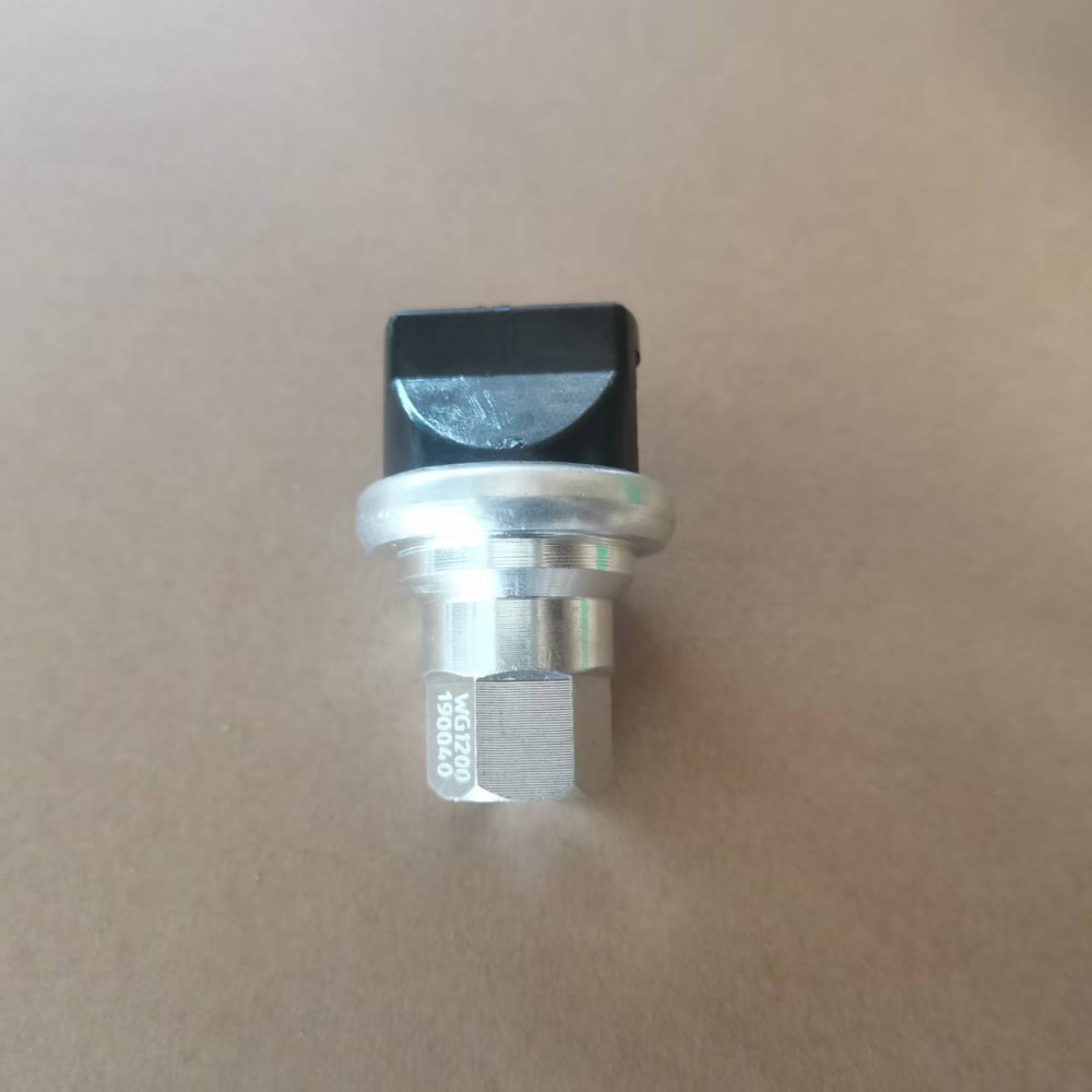 WG1200190040空滤器指示开关