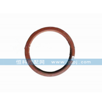 WG9981340113后轮毂油封