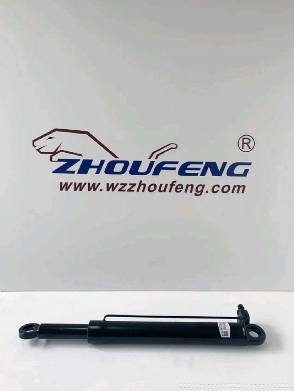 翻轉(zhuǎn)油缸X3000