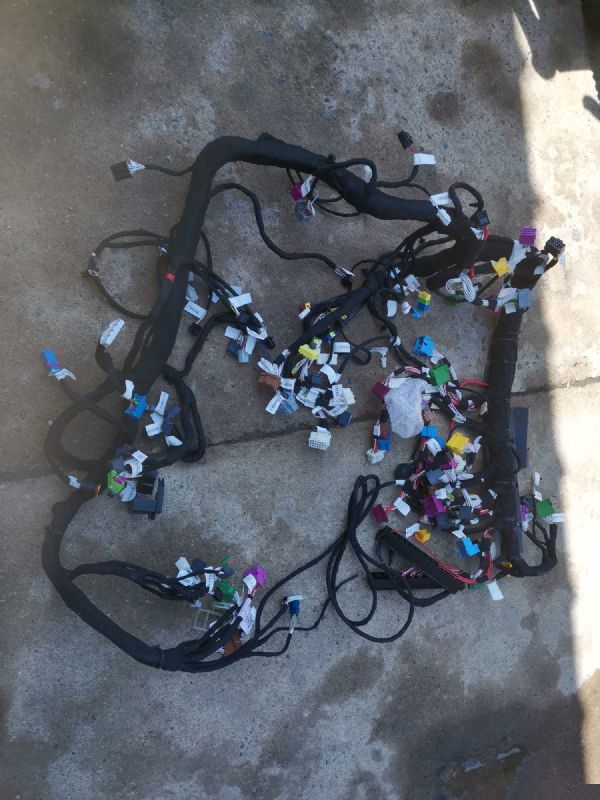 车身主线束总成