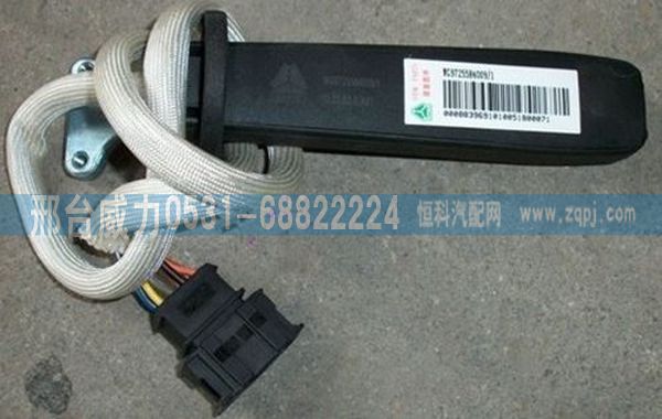 重汽配件豪沃配件WG9725584009 巡航组合开关/WG9725584009