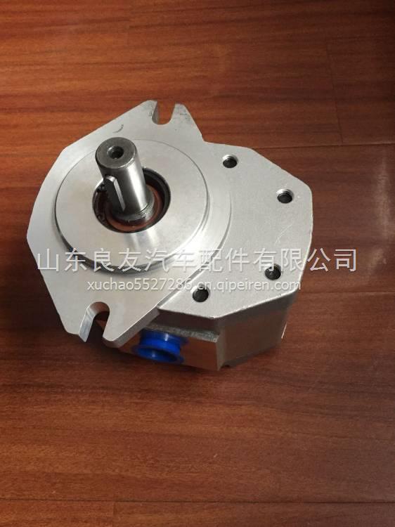 合肥长源液压CBF-E540ALPL叉车油泵齿轮泵叉车转向泵合力杭叉油泵 CBF-E540ALPL