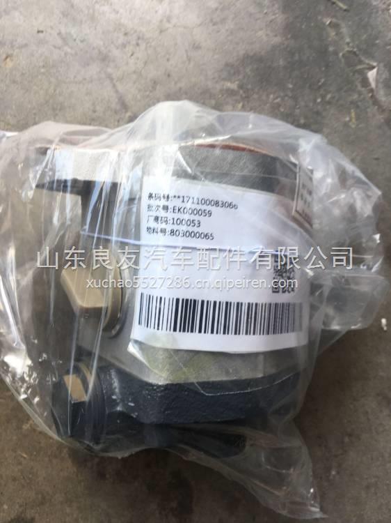 徐工起重机吊车转向齿轮泵转向泵液压泵QC18/13-D14XZ  803000065