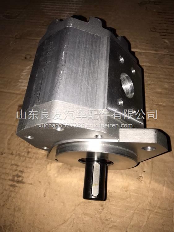 CBQ-F550叉车齿轮油泵油泵工程机械泵 CBQ-G540-AFHL