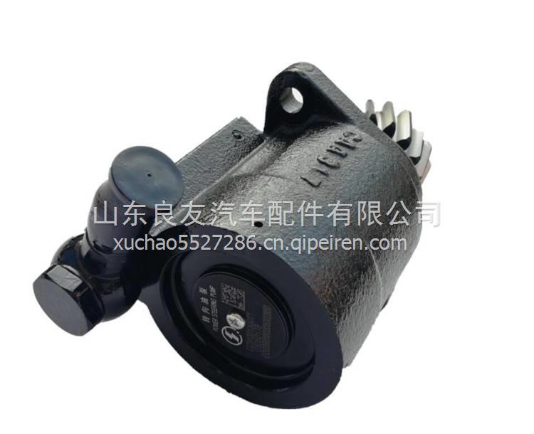 DZ95259130001陜汽德龍F(tuán)3000X3000新M3000轉(zhuǎn)向助力泵 DZ95259130001