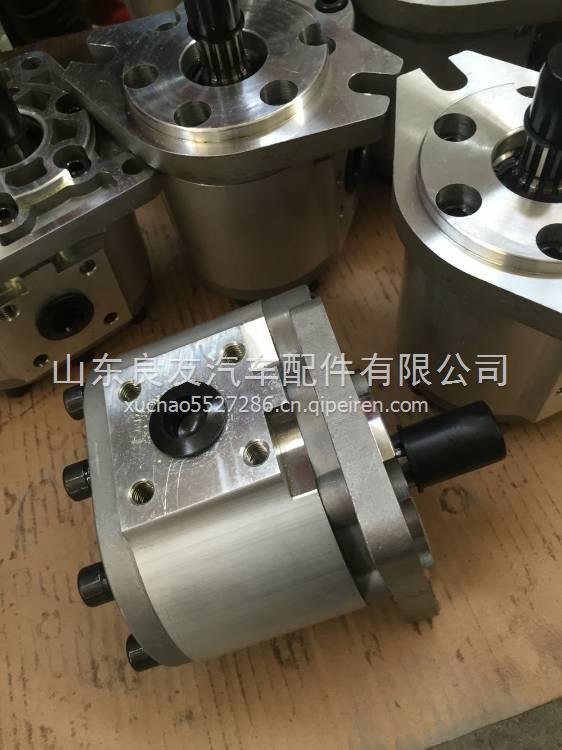 CBNE-F550-BLHL徐工环卫车辆齿轮油泵皖液 CBNE-F550-BLHL