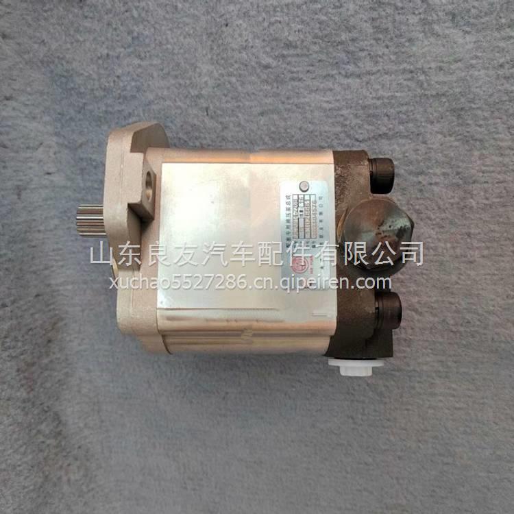 13026661潍柴道依茨WP7发动机方向齿轮式转向助力泵齿轮泵液压泵 13026661