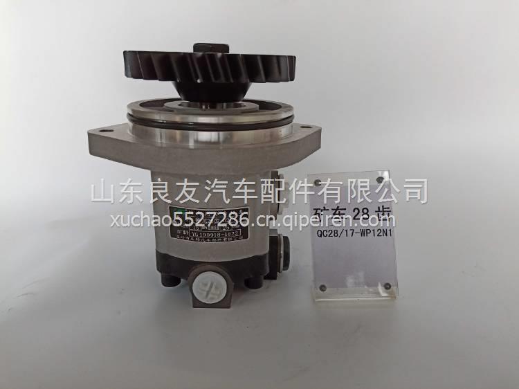 DZ97319470125陜汽礦車轉(zhuǎn)向助力泵 DZ97319470125