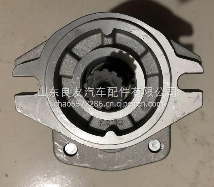 CBHZG-F34-ALφ13L叉车齿轮油泵 杭州叉车A30 国3 液压泵 CBHZG-F34-ALφ13L