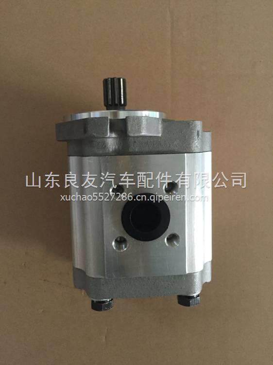 叉车高压齿轮油泵长源液压CBTN-G425压路机工程泵CBTC CBTN-G425
