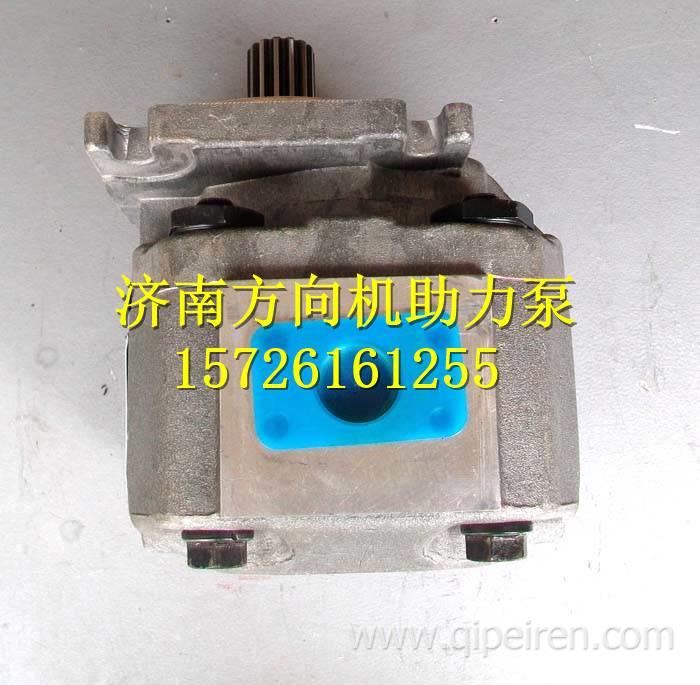 50E-2.50E-3.955.956铲车成工装载机转向泵 50E-2.50E-3.955.956