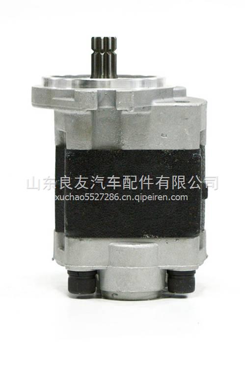  CBHZ-F31.5-ALH6L F32-6L-HC内燃叉车齿轮泵CBHZ-F32-ALH6L  CBHZ-F31.5-ALH6L F32-6L-HC