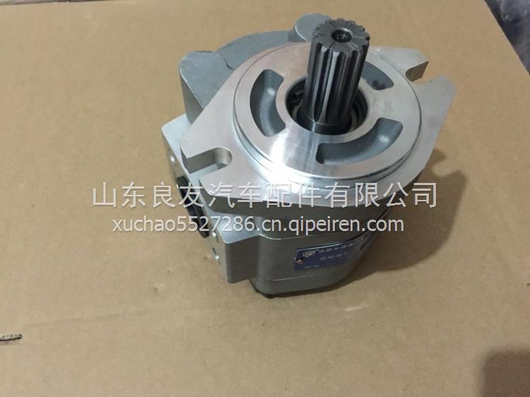 合力叉车一左一右CBKc-G425齿轮油泵 CBKa-G425-AT&L