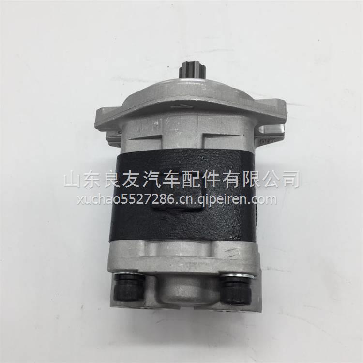 CBHZG-F32-ALH6L叉车齿轮油泵 杭州叉车30HB/R/A液压泵 CBHZG-F32-ALH6L