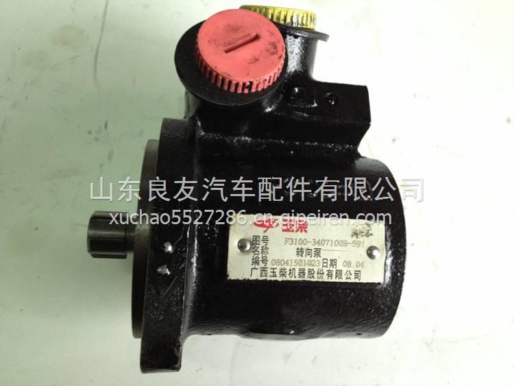 F31D1-3407100A玉柴4F發(fā)動機(jī)轉(zhuǎn)向助力泵 F31D1-3407100A