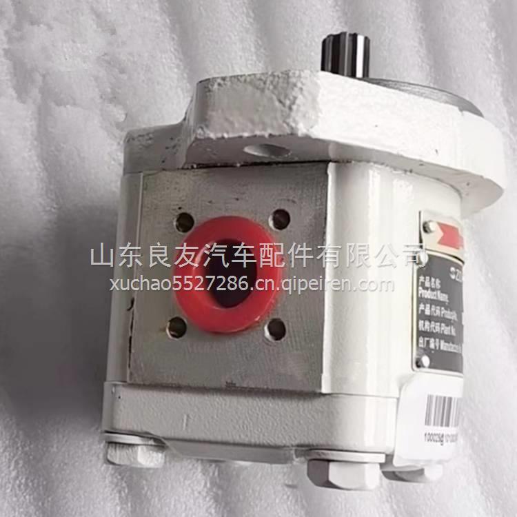 1010000074CBK1012-404L中联QUY70QUY80ZCC750回转泵尾泵齿轮泵 1010000074CBK1012-404L