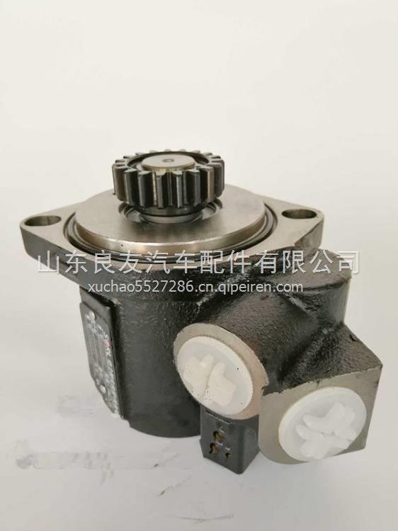  F31D1-3407100A玉柴4F發(fā)動機(jī)轉(zhuǎn)向助力泵  F31D1-3407100A