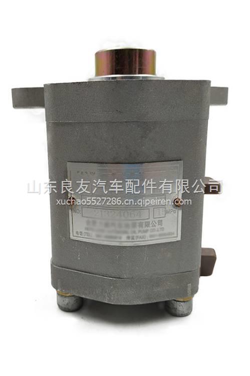 QC25/25-MAN吊车（上柴发动机）转向齿轮泵S00027692+02  QC25/25-MAN