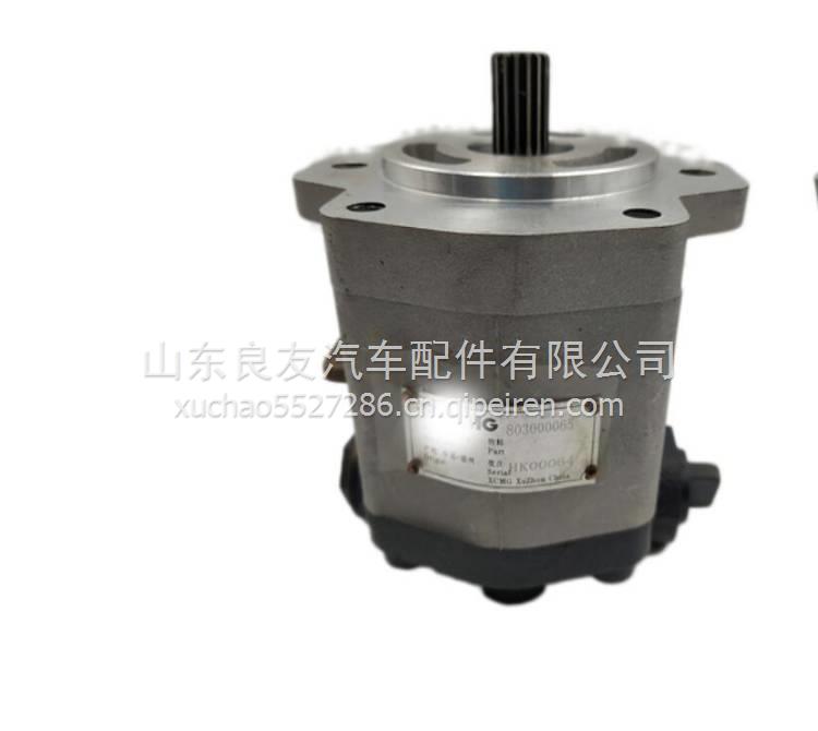 803000065徐工吊车转向泵QC18/13-D14XZ 齿轮泵 803000065