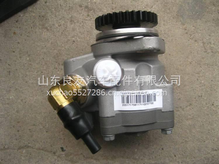 LG9704472030重汽豪沃HOWO轻卡统帅悍将G5X转向助力泵 LG9704472030