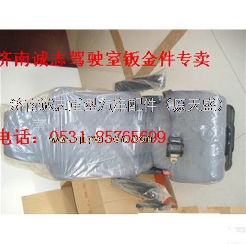 AZ1662510001,,济南诚志重型汽车驾驶室钣金件专卖
