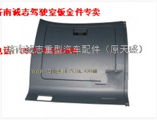 NZ1651160338,,济南诚志重型汽车驾驶室钣金件专卖
