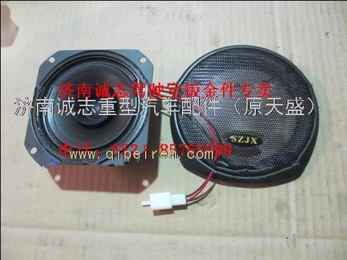PW10G?/06X,,济南诚志重型汽车驾驶室钣金件专卖