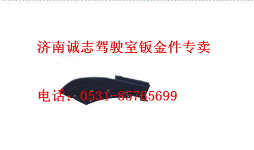 WG1661231009?/1008,,济南诚志重型汽车驾驶室钣金件专卖