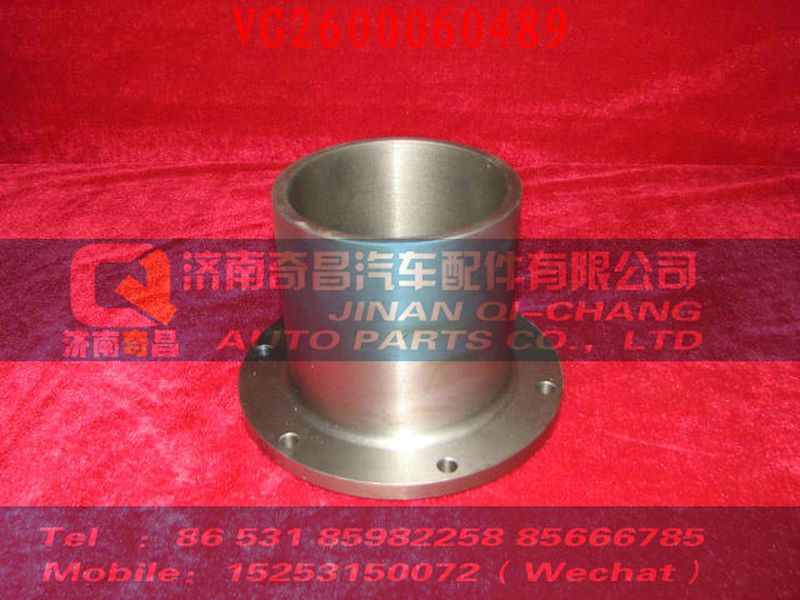 VG2600060489,驾驶室内照明灯,济南奇昌汽车配件有限公司