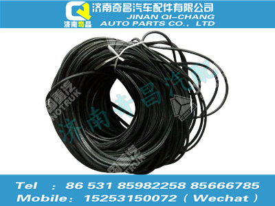 az1651110101,豪瀚配件 豪瀚保护条WG1651110101,济南奇昌汽车配件有限公司