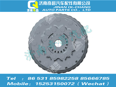 az9525320066,豪瀚配件 豪瀚差速器总成（QT457S198-2503000（i=4.111））,济南奇昌汽车配件有限公司