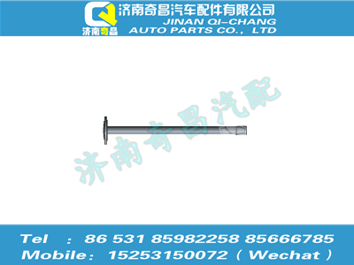 az9525320013,豪瀚配件 豪瀚左半轴（QT485D111-2403081）,济南奇昌汽车配件有限公司