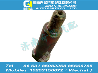 az1651430049,豪瀚配件 豪瀚摆臂销轴,济南奇昌汽车配件有限公司