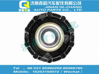 az7117349058,金王子配件 金王子后轮毂总成(ABS,辐板厚25),济南奇昌汽车配件有限公司
