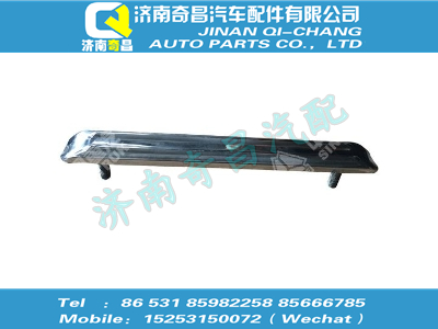 wg1642230041,T5G配件 T5G前翼子板压条总成,济南奇昌汽车配件有限公司