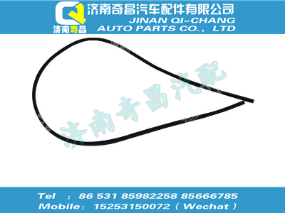 wg1662570025,T5G配件 T5G密封条,济南奇昌汽车配件有限公司