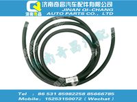 wg9125531313,王牌配件 王牌发动机泄气胶管,济南奇昌汽车配件有限公司