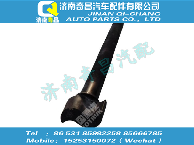 wg9761349023,汕德卡配件 汕德卡后桥凸轮轴(左),济南奇昌汽车配件有限公司