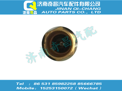 wg9725610006,C7B配件 C7B气门嘴金属延长杆,济南奇昌汽车配件有限公司