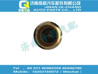 wg9725610006,C7B配件 C7B气门嘴金属延长杆,济南奇昌汽车配件有限公司