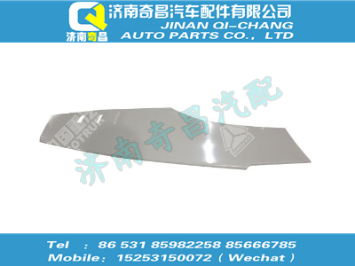 wg1664330205,王牌配件 王牌左车门下装饰外板(经济型),济南奇昌汽车配件有限公司