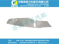 wg1664330205,王牌配件 王牌左车门下装饰外板(经济型),济南奇昌汽车配件有限公司