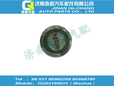 810w96002-0144,HOWO配件 HOWO软塞（12.3mm）,济南奇昌汽车配件有限公司