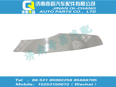 wg1664330206,SITRAK配件右车门下装饰外板（经济型）,济南奇昌汽车配件有限公司