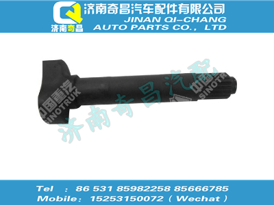 wg9100440001,金王子配件 金王子制动凸轮轴(左),济南奇昌汽车配件有限公司