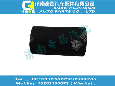 vg1238110039,王牌配件 王牌胶管,济南奇昌汽车配件有限公司