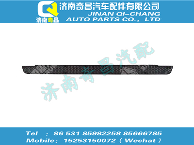 wg1664240011,王牌配件 王牌保险杠装饰网II,济南奇昌汽车配件有限公司