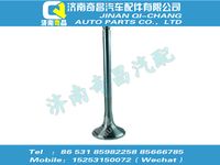 vg1096050014,C7B配件 C7B排气门,济南奇昌汽车配件有限公司
