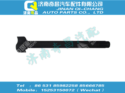 wg9761349024,黄河配件 黄河后桥凸轮轴(右),济南奇昌汽车配件有限公司
