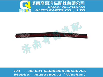 810w62651-0098,HOWO配件 HOWO车门外密封条III,济南奇昌汽车配件有限公司
